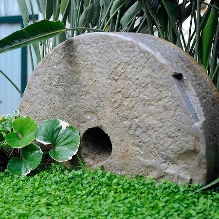 Relais Angiolina