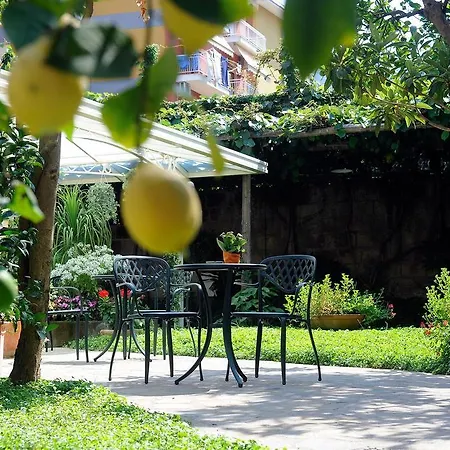 Relais Angiolina Guest house 3*